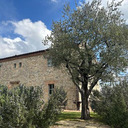 Borgo Cardaneto Bed & Breakfast Монтоне Екстериор снимка