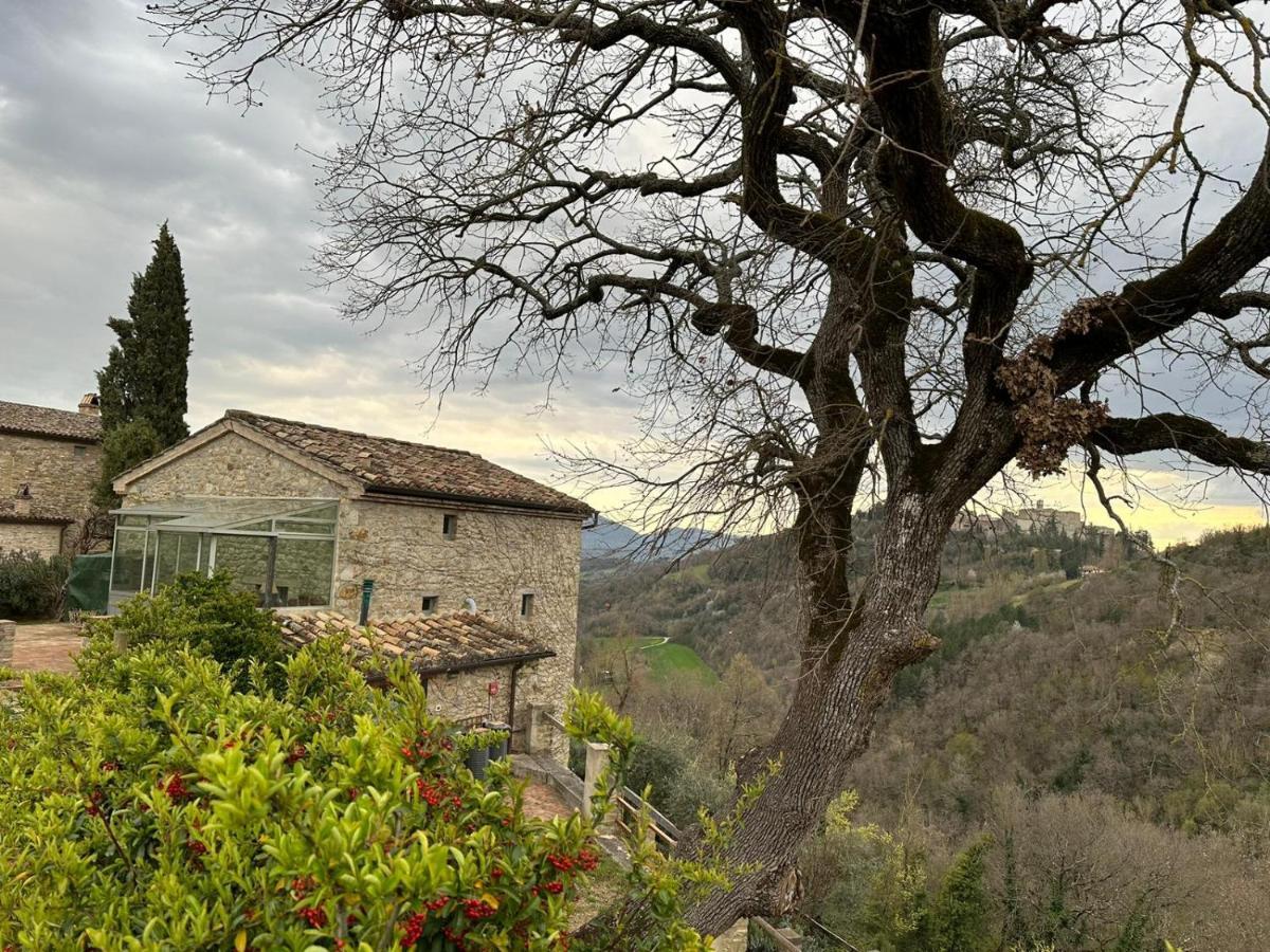 Borgo Cardaneto Bed & Breakfast Монтоне Екстериор снимка