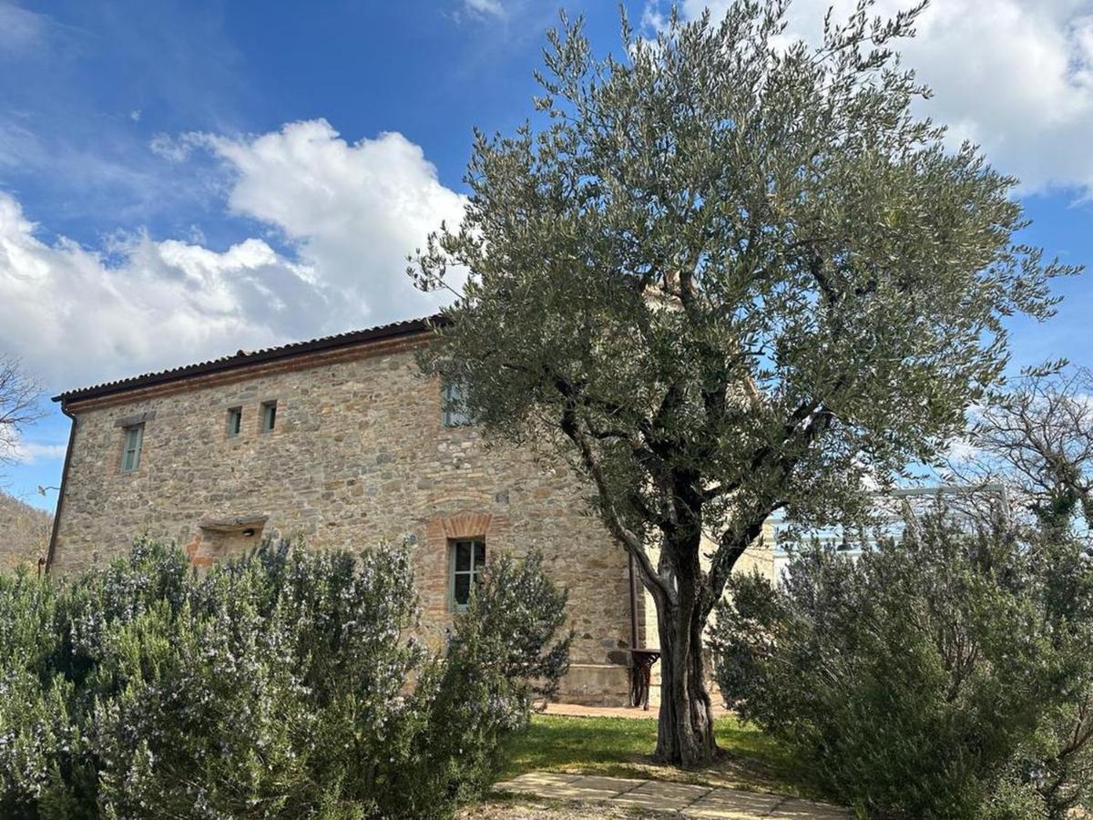 Borgo Cardaneto Bed & Breakfast Монтоне Екстериор снимка