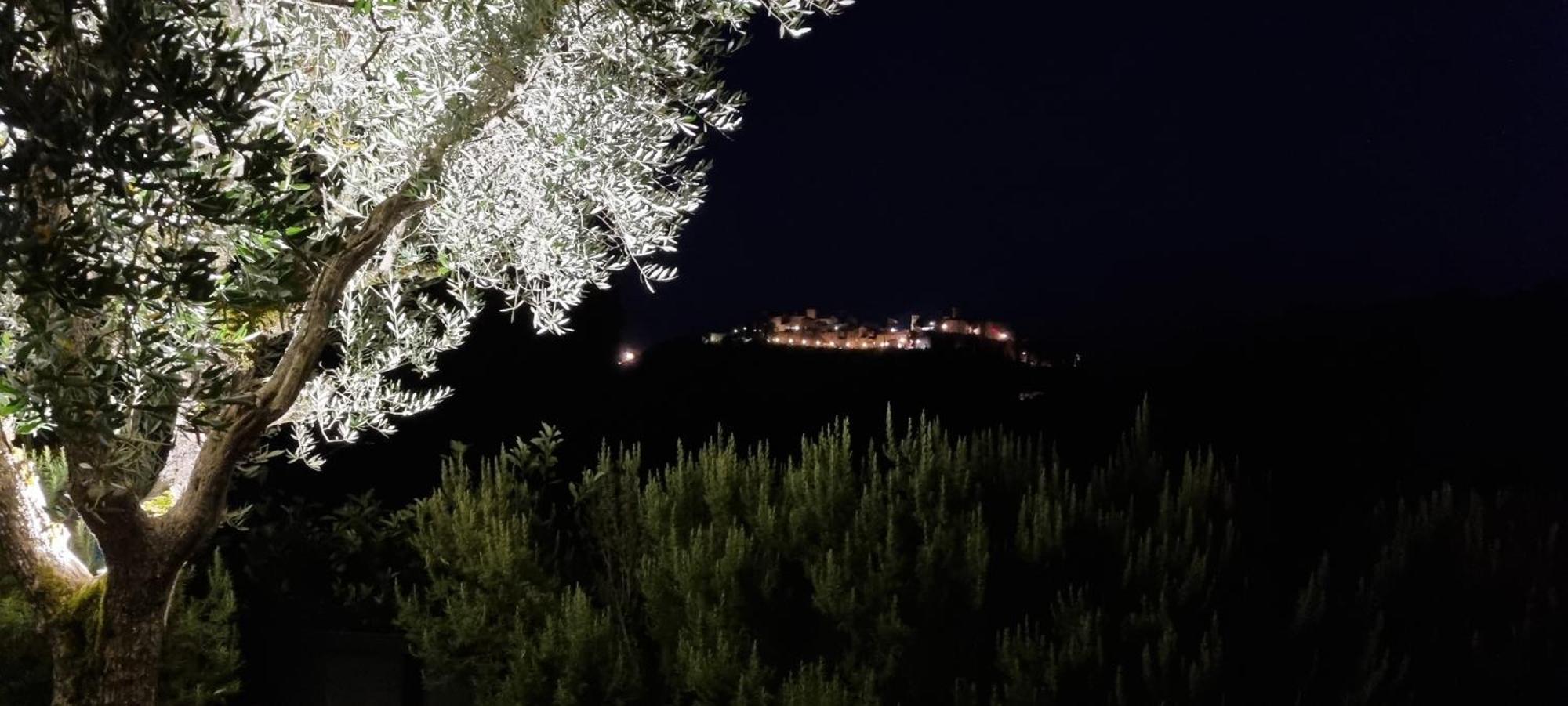 Borgo Cardaneto Bed & Breakfast Монтоне Екстериор снимка