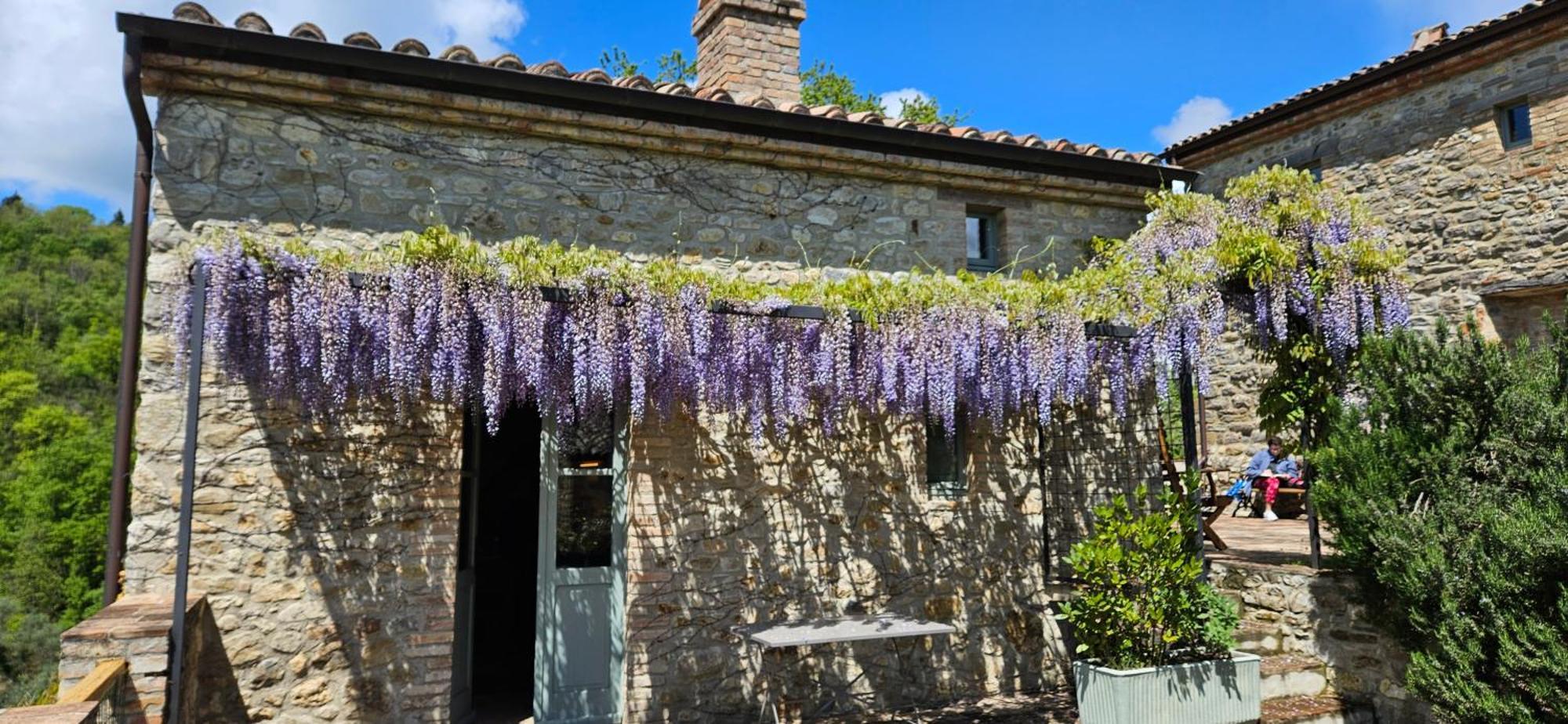 Borgo Cardaneto Bed & Breakfast Монтоне Екстериор снимка
