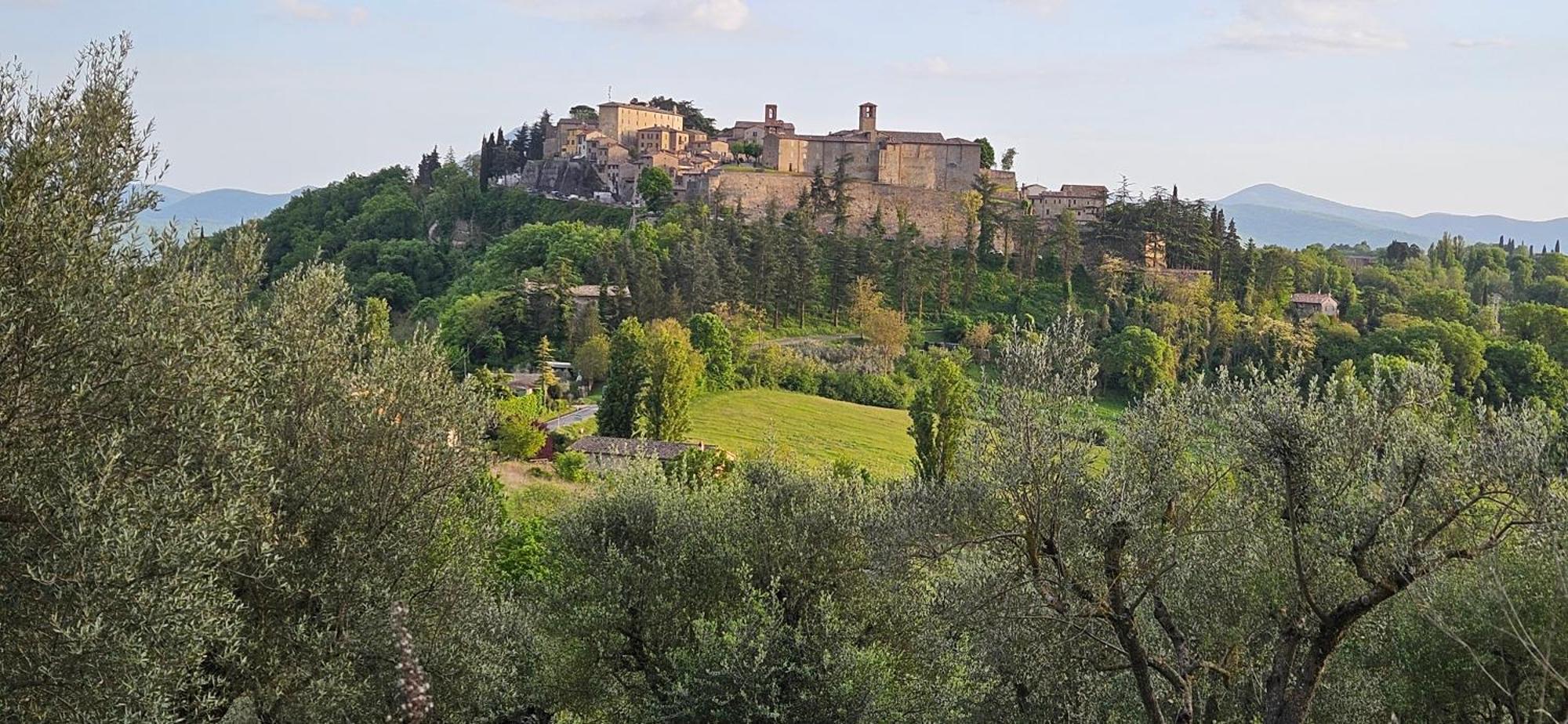 Borgo Cardaneto Bed & Breakfast Монтоне Екстериор снимка